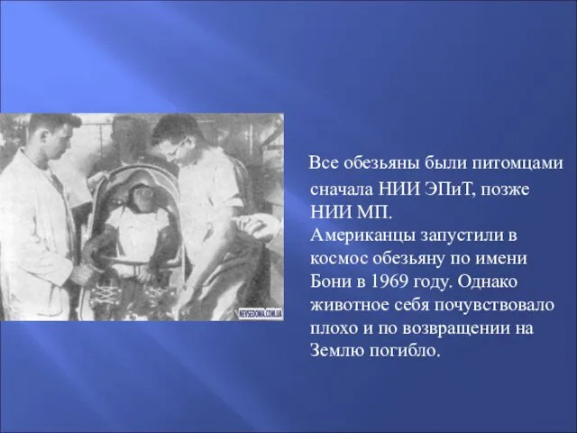 Все обезьяны были питомцами сначала НИИ ЭПиТ, позже НИИ МП. Американцы запустили