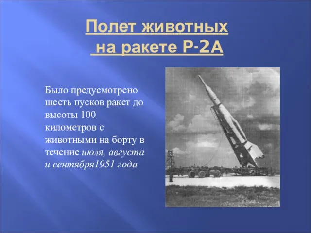 Полет животных на ракете Р-2А Было предусмотрено шесть пусков ракет до высоты