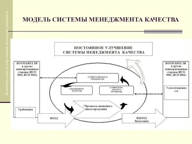 МОДЕЛЬ СИСТЕМЫ МЕНЕДЖМЕНТА КАЧЕСТВА Калининградский государственный технический университет