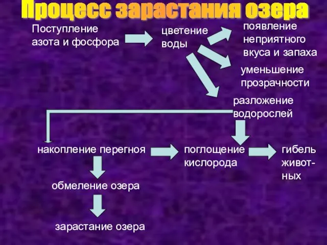 Поступление азота и фосфора цветение воды появление неприятного вкуса и запаха уменьшение