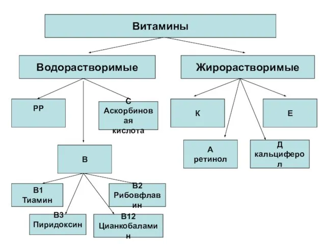 Витамины Водорастворимые Жирорастворимые РР С Аскорбиновая кислота В К Е А ретинол