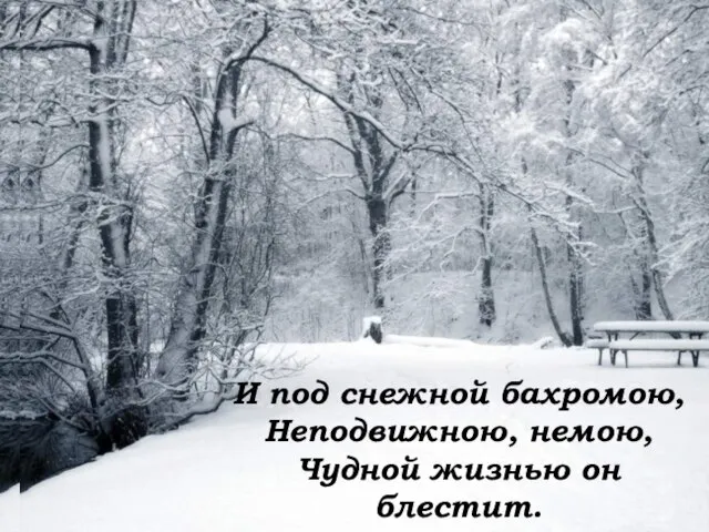 И под снежной бахромою, Неподвижною, немою, Чудной жизнью он блестит. И под