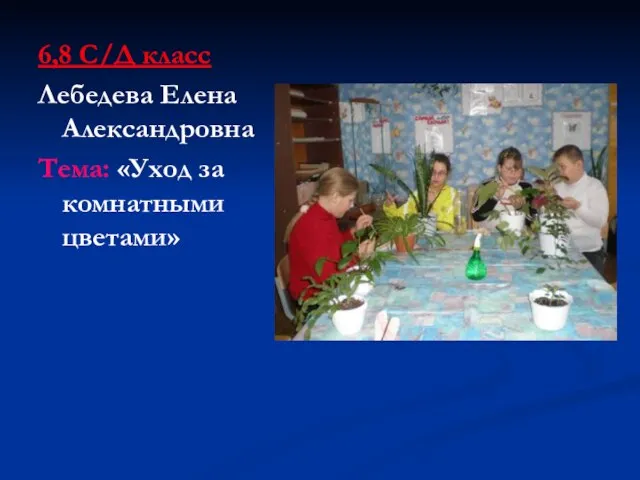 6,8 С/Д класс Лебедева Елена Александровна Тема: «Уход за комнатными цветами»