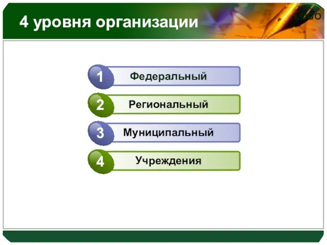 4 уровня организации