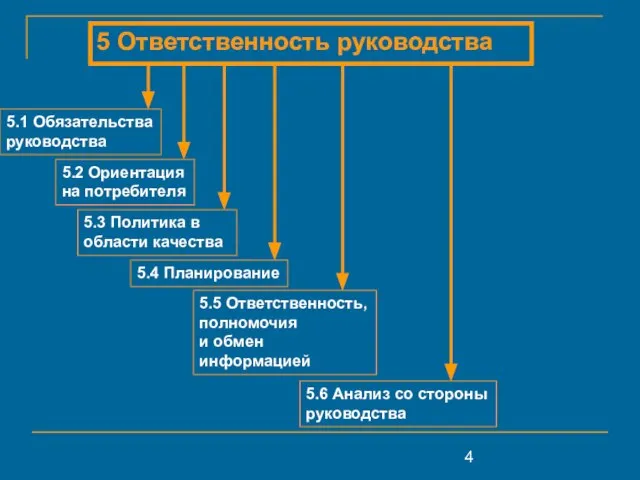 5 Ответственность руководства