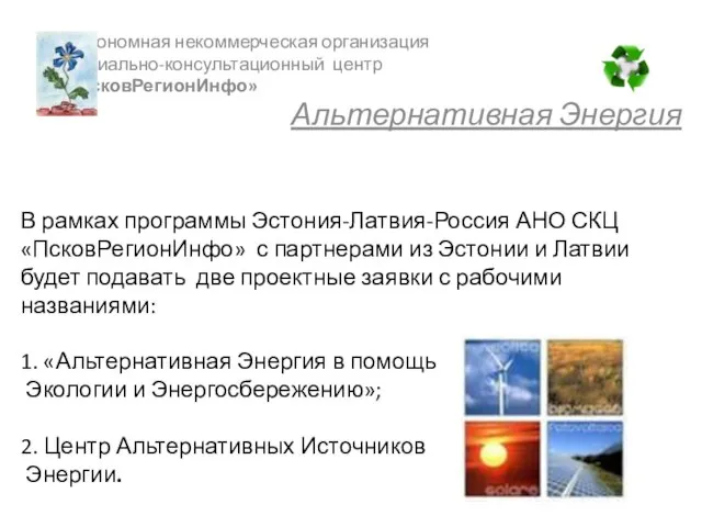 В рамках программы Эстония-Латвия-Россия АНО СКЦ «ПсковРегионИнфо» с партнерами из Эстонии и