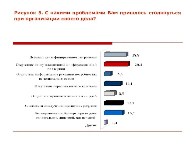 Рисунок 5. С какими проблемами Вам пришлось столкнуться при организации своего дела?