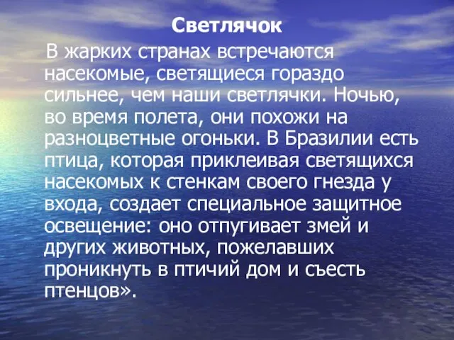 Светлячок В жарких странах встречаются насекомые, светящиеся гораздо сильнее, чем наши светлячки.