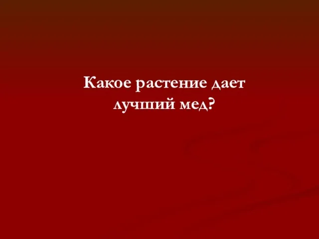 Какое растение дает лучший мед?