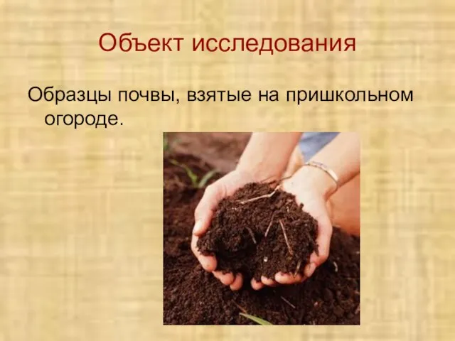 Объект исследования Образцы почвы, взятые на пришкольном огороде.