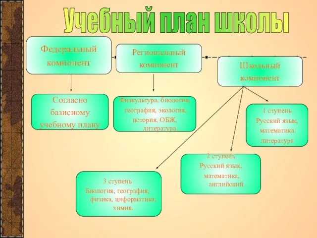 3 ступень Биология, география, физика, информатика, химия. Учебный план школы