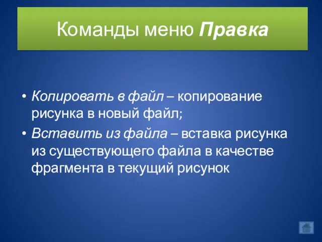 Команды меню Правка Копировать в файл – копирование рисунка в новый файл;