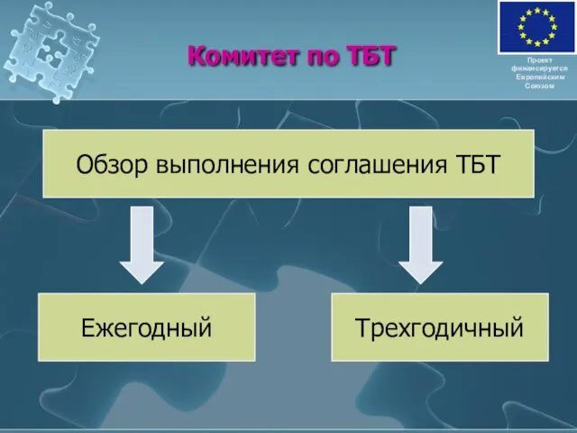 Комитет по ТБТ Проект финансируется Европейским Союзом Обзор выполнения соглашения ТБТ Ежегодный Трехгодичный