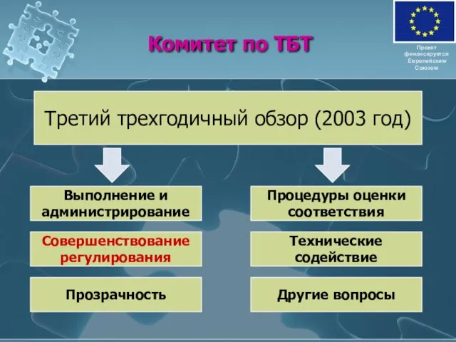 Комитет по ТБТ Проект финансируется Европейским Союзом Третий трехгодичный обзор (2003 год)