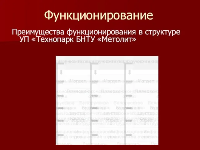 Функционирование Преимущества функционирования в структуре УП «Технопарк БНТУ «Метолит»