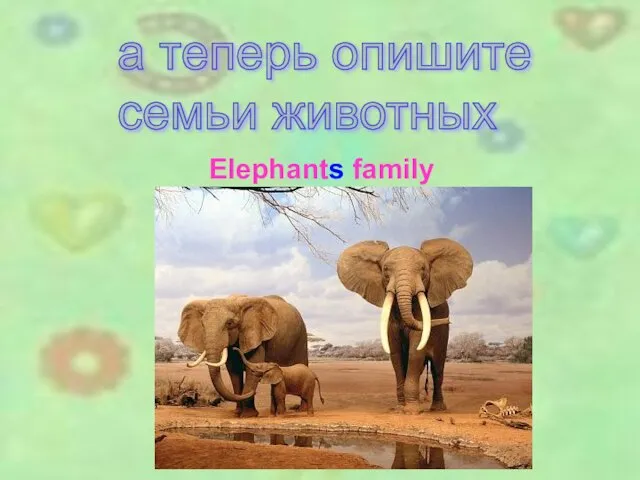 Elephants family а теперь опишите семьи животных Elephants family