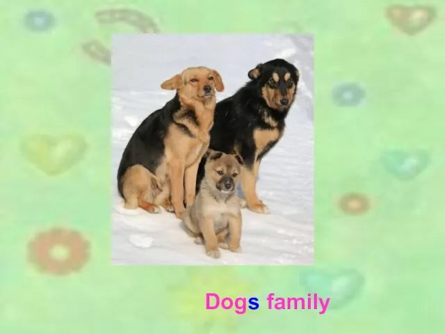 Dogs family Dogs family