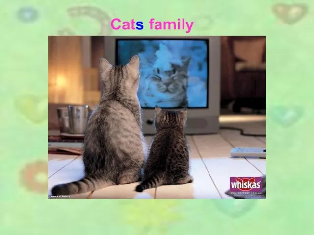 Cats family Cats family