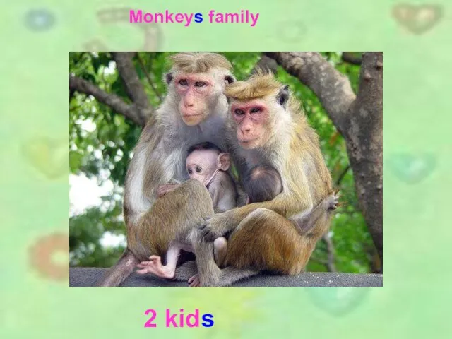 2 kids 2 kids Monkeys family