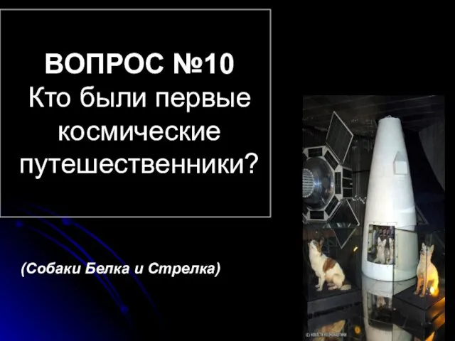 ВОПРОС №10 Кто были первые космические путешественники? (Собаки Белка и Стрелка)