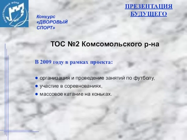 ПРЕЗЕНТАЦИЯ БУДУЩЕГО В 2009 году в рамках проекта: ● организация и проведение