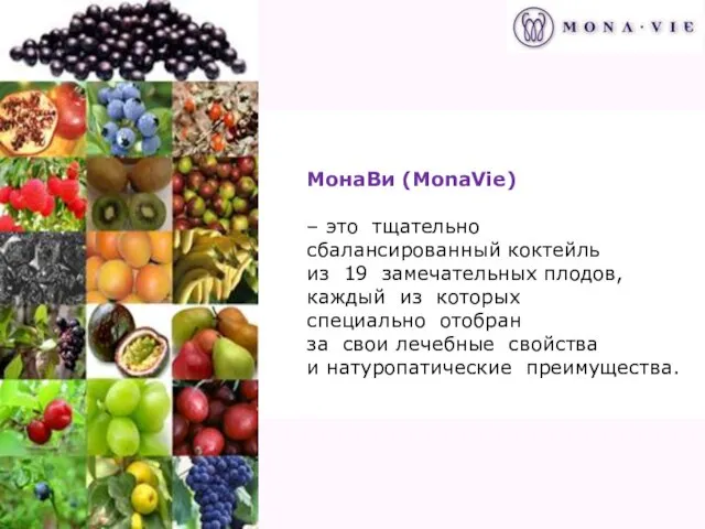 МонаВи (MonaVie) – это тщательно сбалансированный коктейль из 19 замечательных плодов, каждый