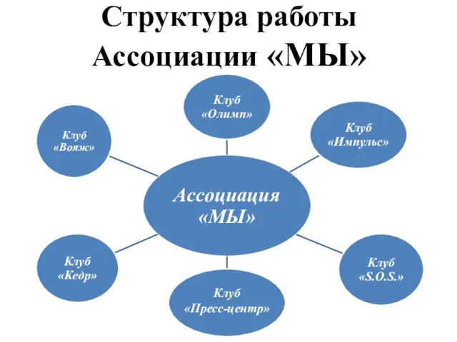 Структура работы Ассоциации «МЫ»