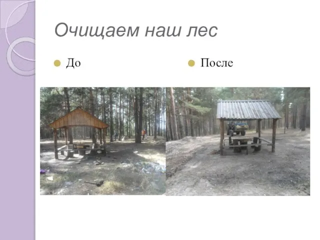 Очищаем наш лес До После