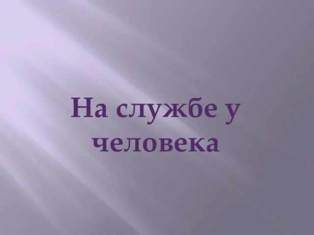 На службе у человека