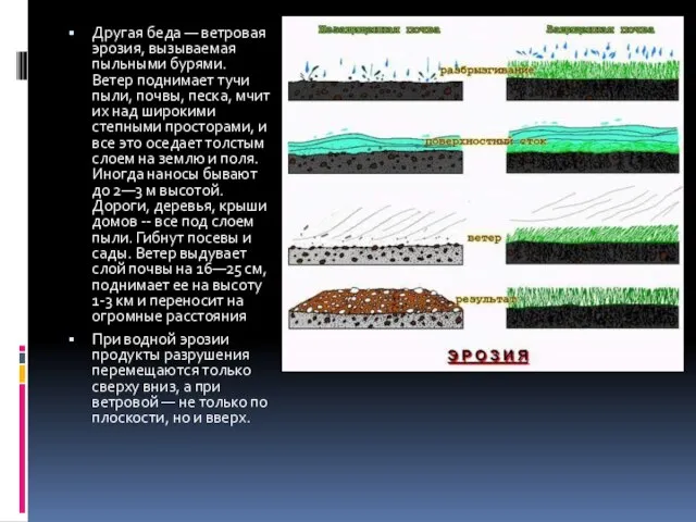 Другая беда — ветровая эрозия, вызываемая пыльными бурями. Ветер поднимает тучи пыли,