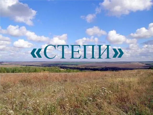 «СТЕПИ»