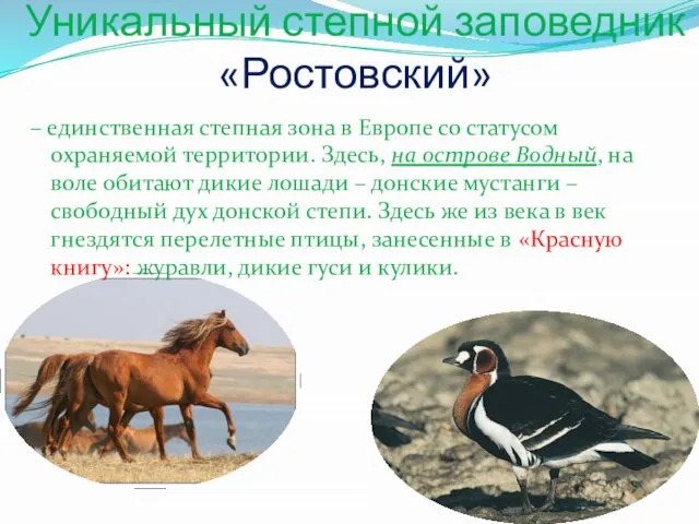 Уникальный степной заповедник «Ростовский» – единственная степная зона в Европе со статусом