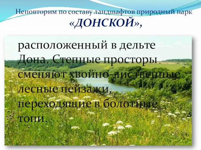 Неповторим по составу ландшафтов природный парк «ДОНСКОЙ», расположенный в дельте Дона. Степные