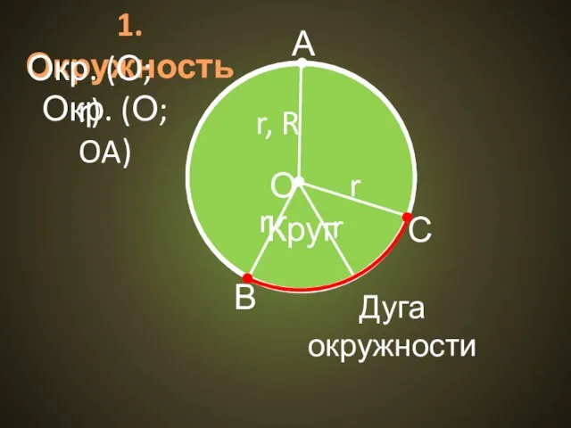 1. Окружность О В С r, R А Круг Дуга окружности r