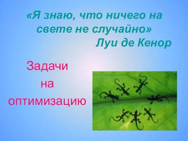 «Я знаю, что ничего на свете не случайно» Луи де Кенор Задачи на оптимизацию