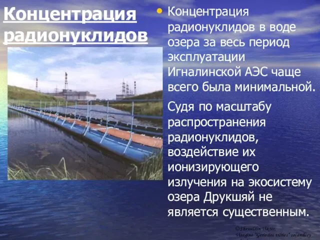 Концентрация радионуклидов Концентрация радионуклидов в воде озера за весь период эксплуатации Игналинской