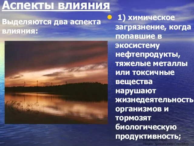 Аспекты влияния 1) химическое загрязнение, когда попавшие в экосистему нефтепродукты, тяжелые металлы