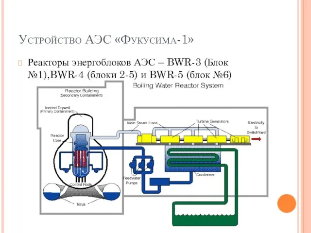 Устройство АЭС «Фукусима-1» Реакторы энергоблоков АЭС – BWR-3 (Блок №1),BWR-4 (блоки 2-5) и BWR-5 (блок №6)