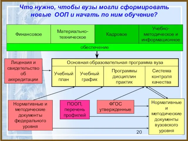 Что нужно, чтобы вузы могли сформировать новые ООП и начать по ним