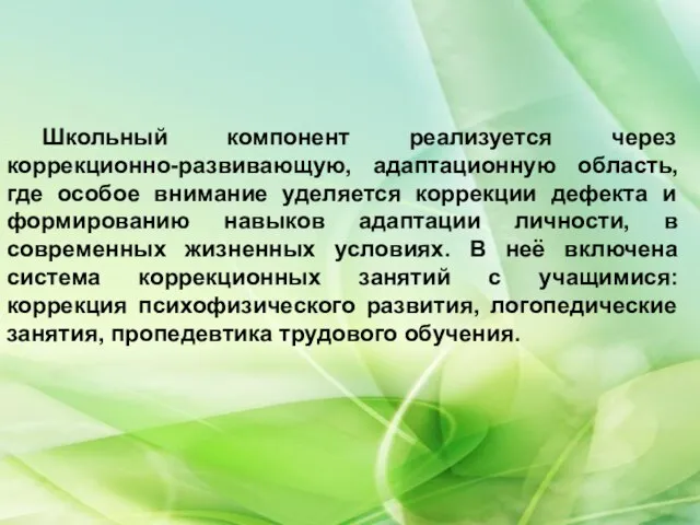 Школьный компонент реализуется через коррекционно-развивающую, адаптационную область, где особое внимание уделяется коррекции