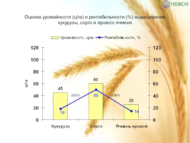 Оценка урожайности (ц/га) и рентабельности (%) выращивания кукурузы, сорго и ярового ячменя Δ32% Δ36%