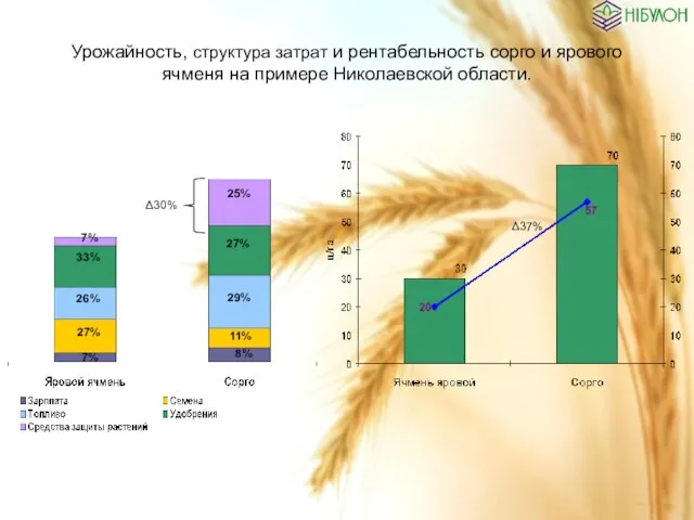 Урожайность, структура затрат и рентабельность сорго и ярового ячменя на примере Николаевской