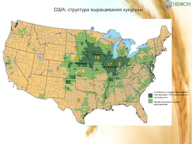 США: структура выращивания кукурузы Основные площади выращивания обеспечивают 75% национального производства Незначительные