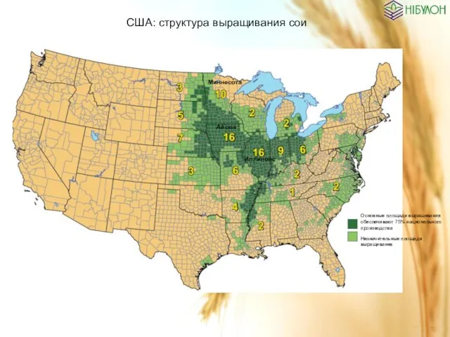 США: структура выращивания сои Основные площади выращивания обеспечивают 75% национального производства Незначительные