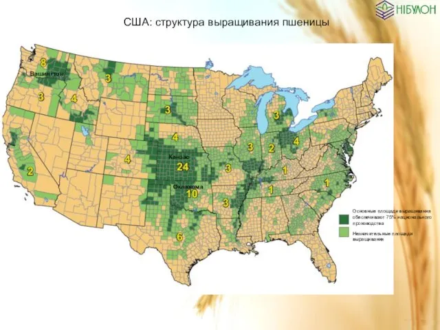 США: структура выращивания пшеницы Основные площади выращивания обеспечивают 75% национального производства Незначительные