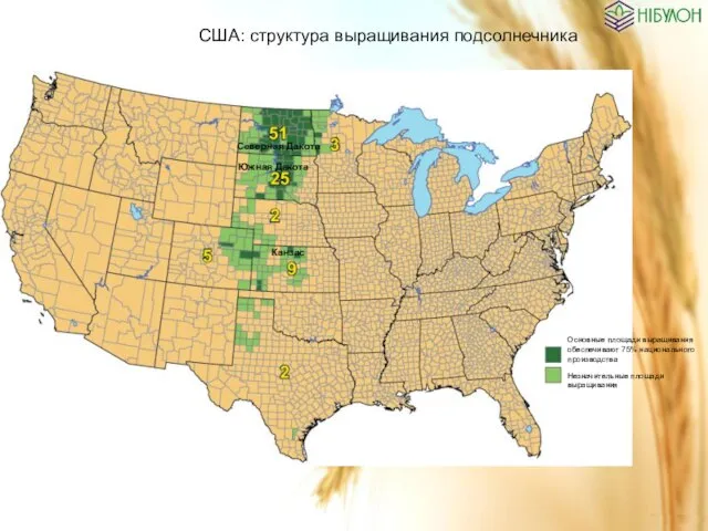 США: структура выращивания подсолнечника Основные площади выращивания обеспечивают 75% национального производства Незначительные