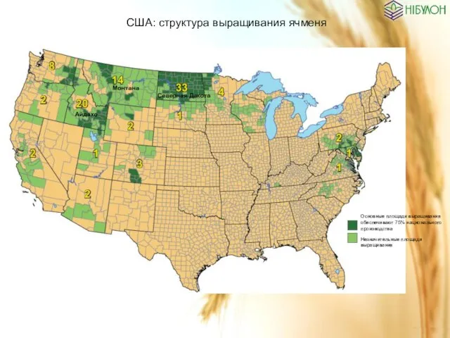 США: структура выращивания ячменя Основные площади выращивания обеспечивают 75% национального производства Незначительные