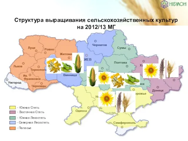 Структура выращивания сельскохозяйственных культур на 2012/13 МГ - Полесье - Северная Лесостепь