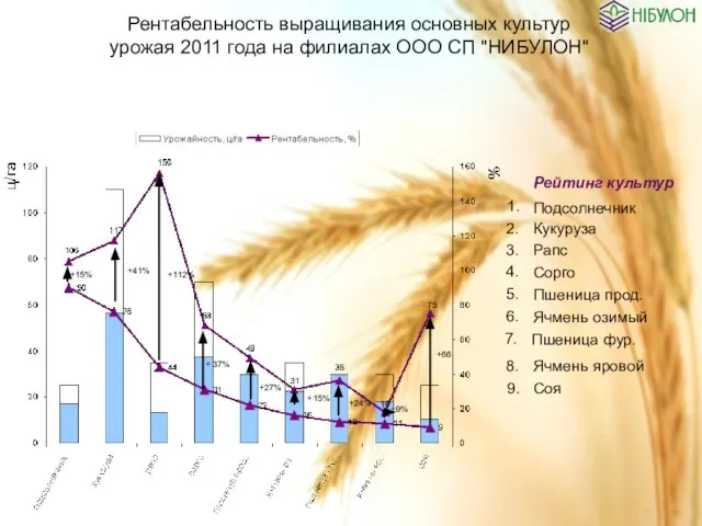 Рейтинг культур Подсолнечник Кукуруза Рапс Сорго Пшеница прод. Ячмень озимый Ячмень яровой