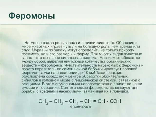 Феромоны Не менее важна роль запаха и в жизни животных. Обоняние в